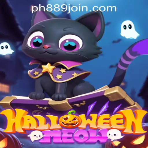 HalloweenMeow: A Mysterious Adventure in Spooky Realms